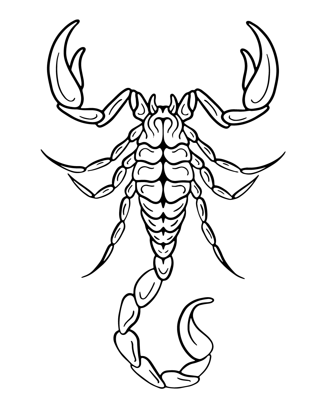 Skorpio - Tatuaż tymczasowy Jagua 12x8