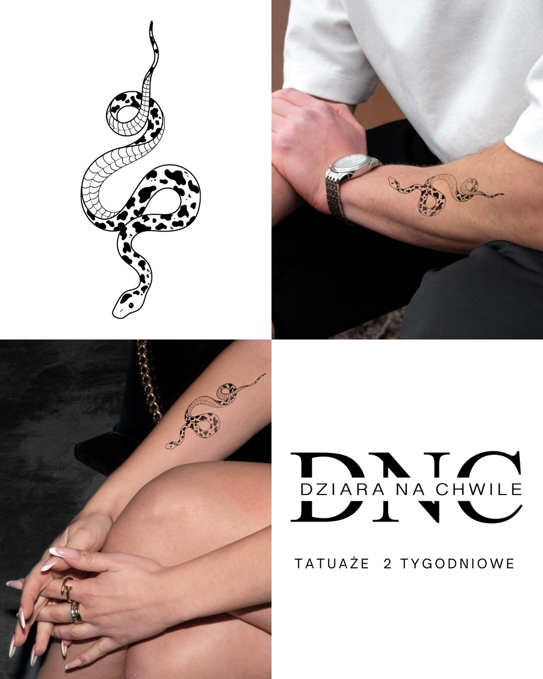 Muuuuuu wąż - Tatuaż tymczasowy Jagua 12x8