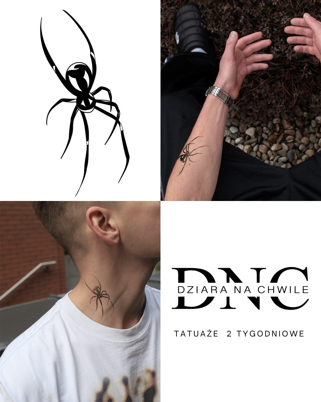 Павук не людина - Тимчасове тату Jagua 12x8
