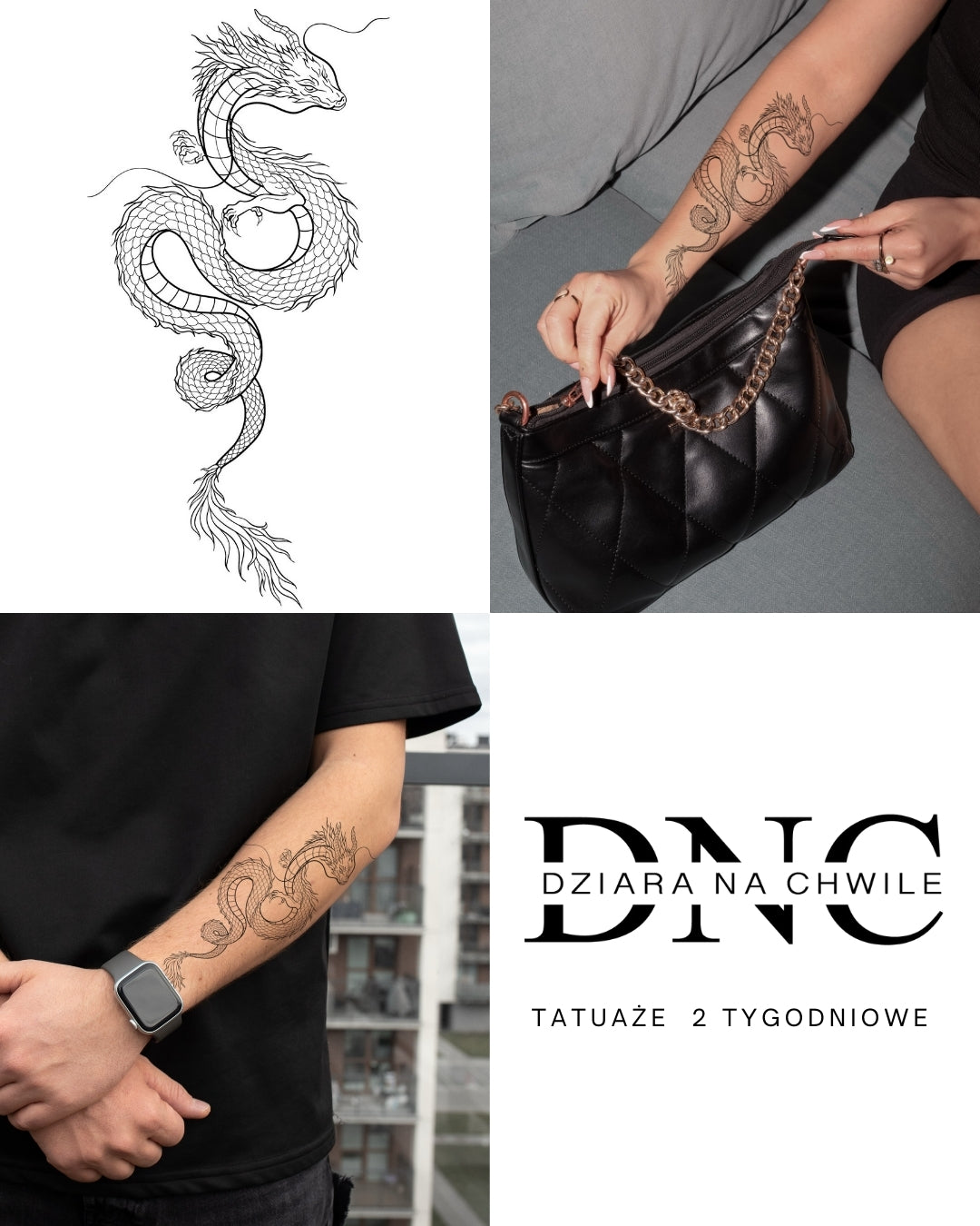 Wyłuskany smok - Tatuaż tymczasowy Jagua 25x15