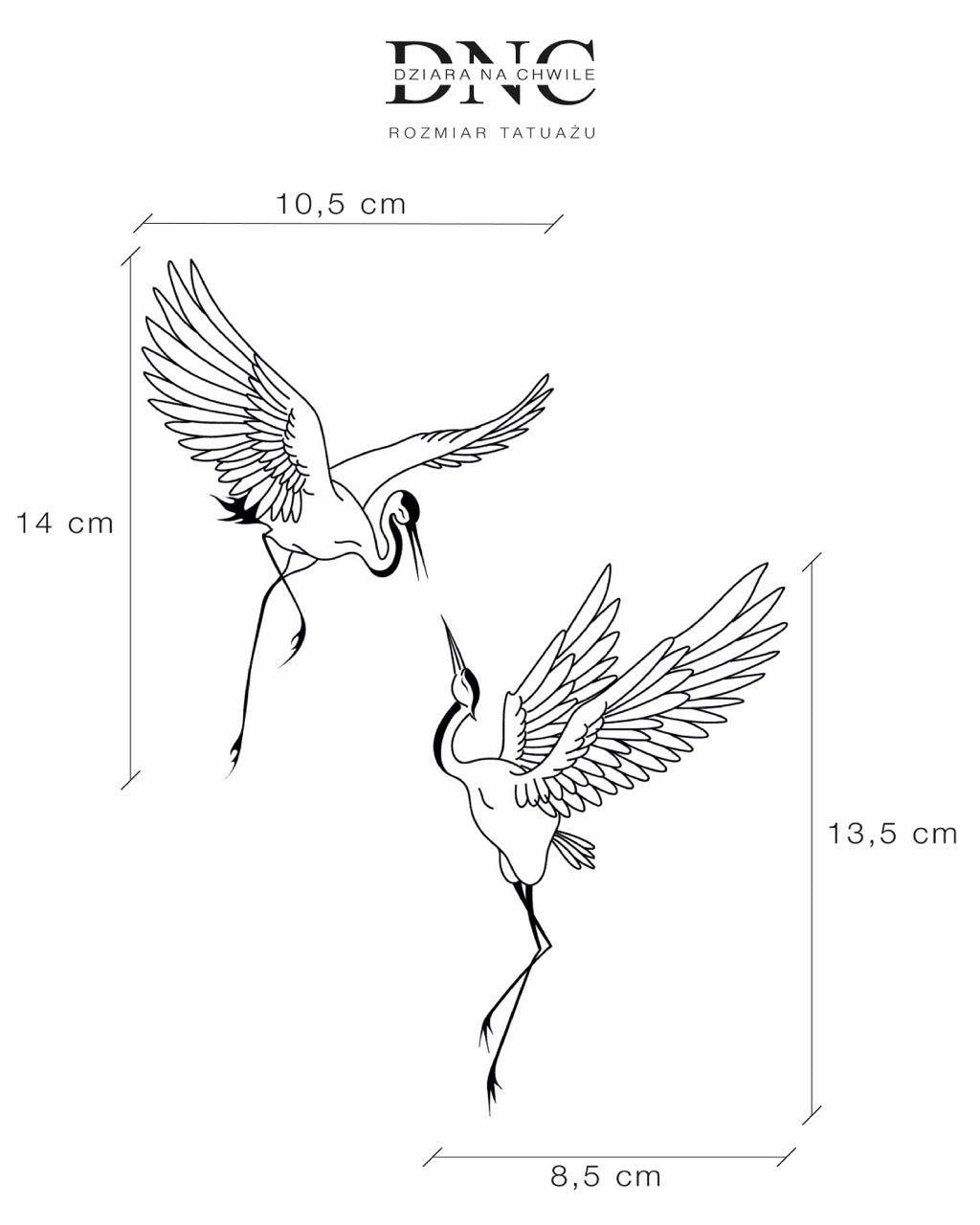 Dancing żuraw - Tatuaż tymczasowy Jagua 25x15