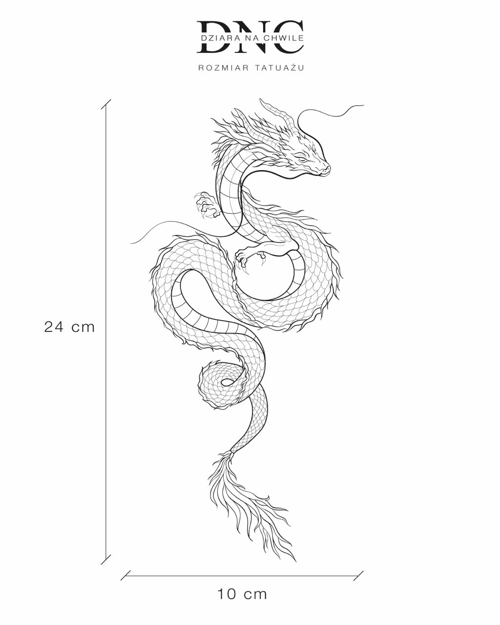 Wyłuskany smok - Tatuaż tymczasowy Jagua 25x15