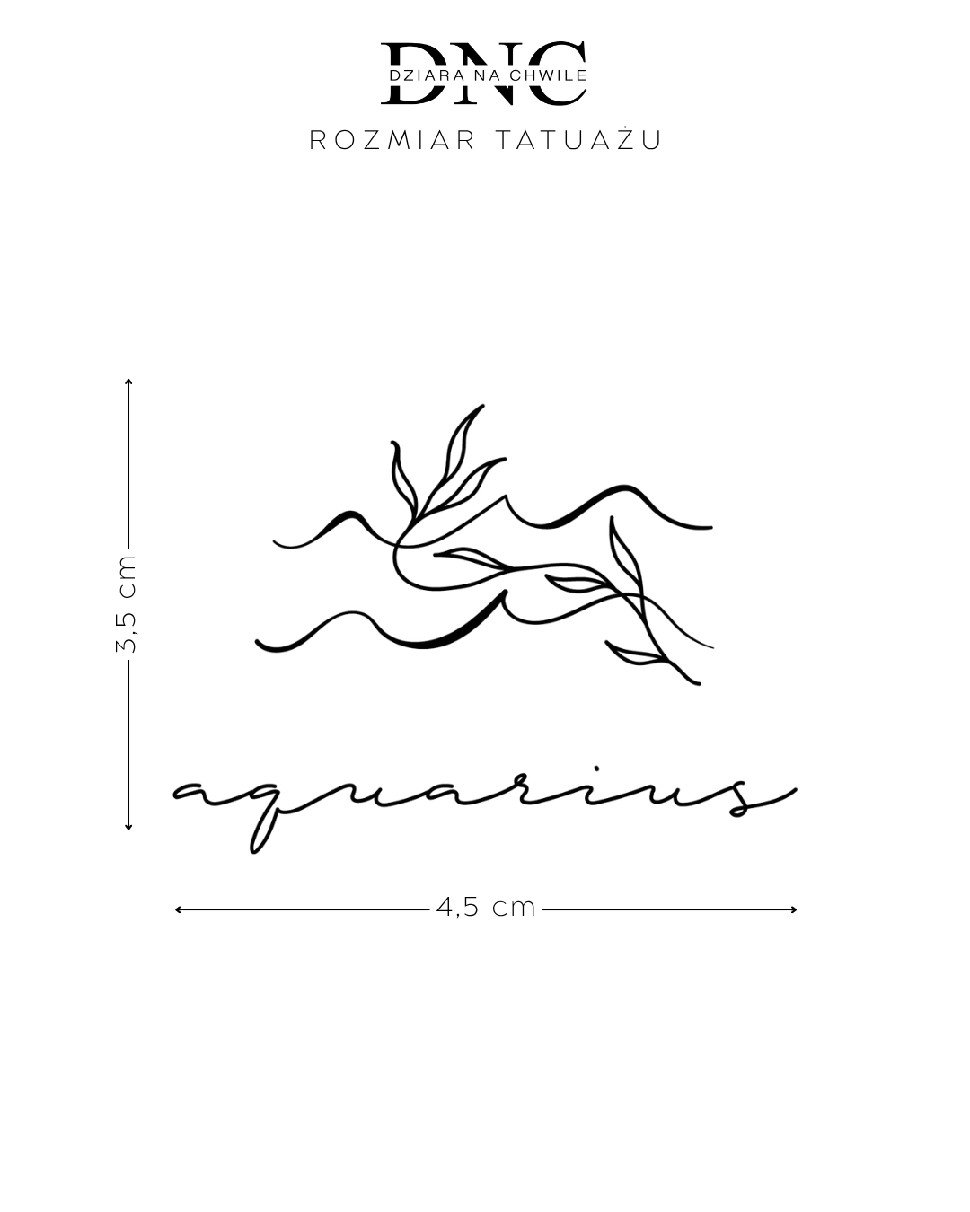 Zodiakalny Wodnik - Tatuaż tymczasowy Jagua 5x5