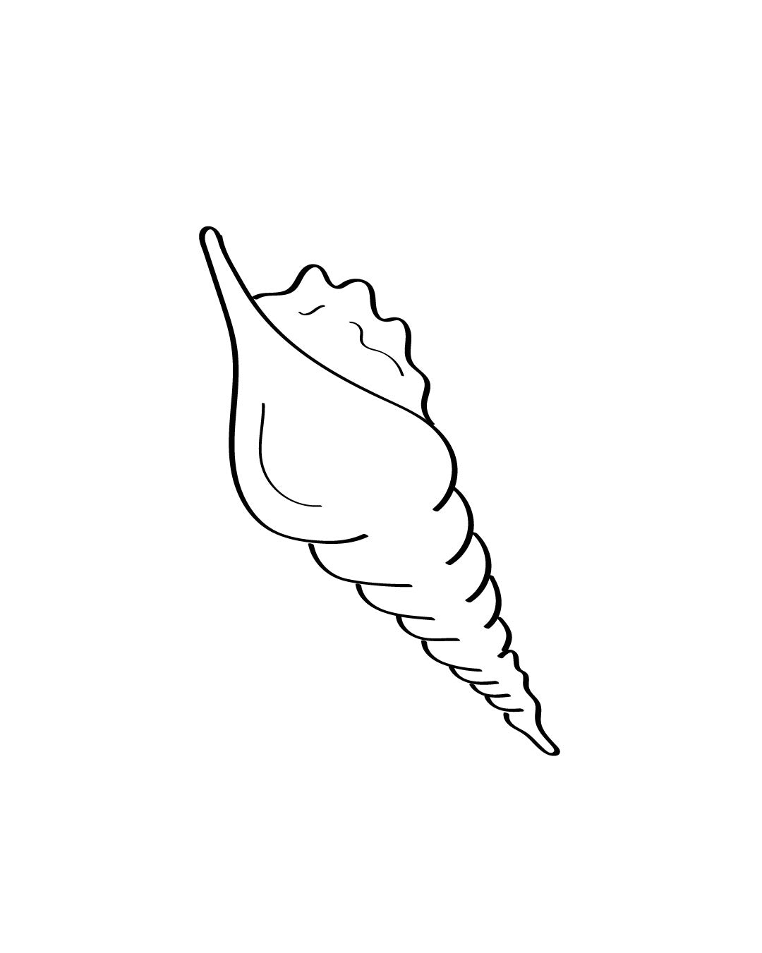 Zakręcona muszla - Tatuaż tymczasowy Jagua 5x5