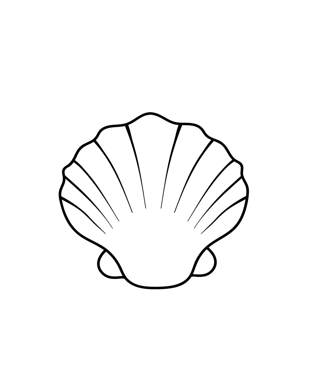 Mini muszelka - Tatuaż tymczasowy Jagua 5x5