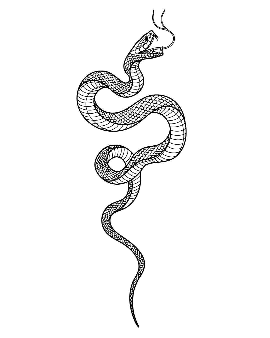 Sexy ssssnake - Temporary Tattoo Jagua 25x15