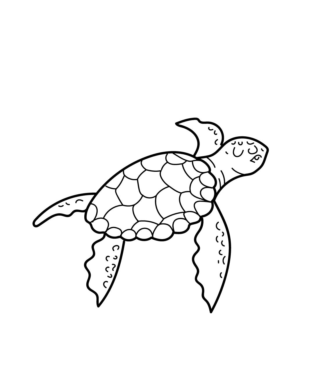 Żółwiś - Tatuaż tymczasowy Jagua 5x5