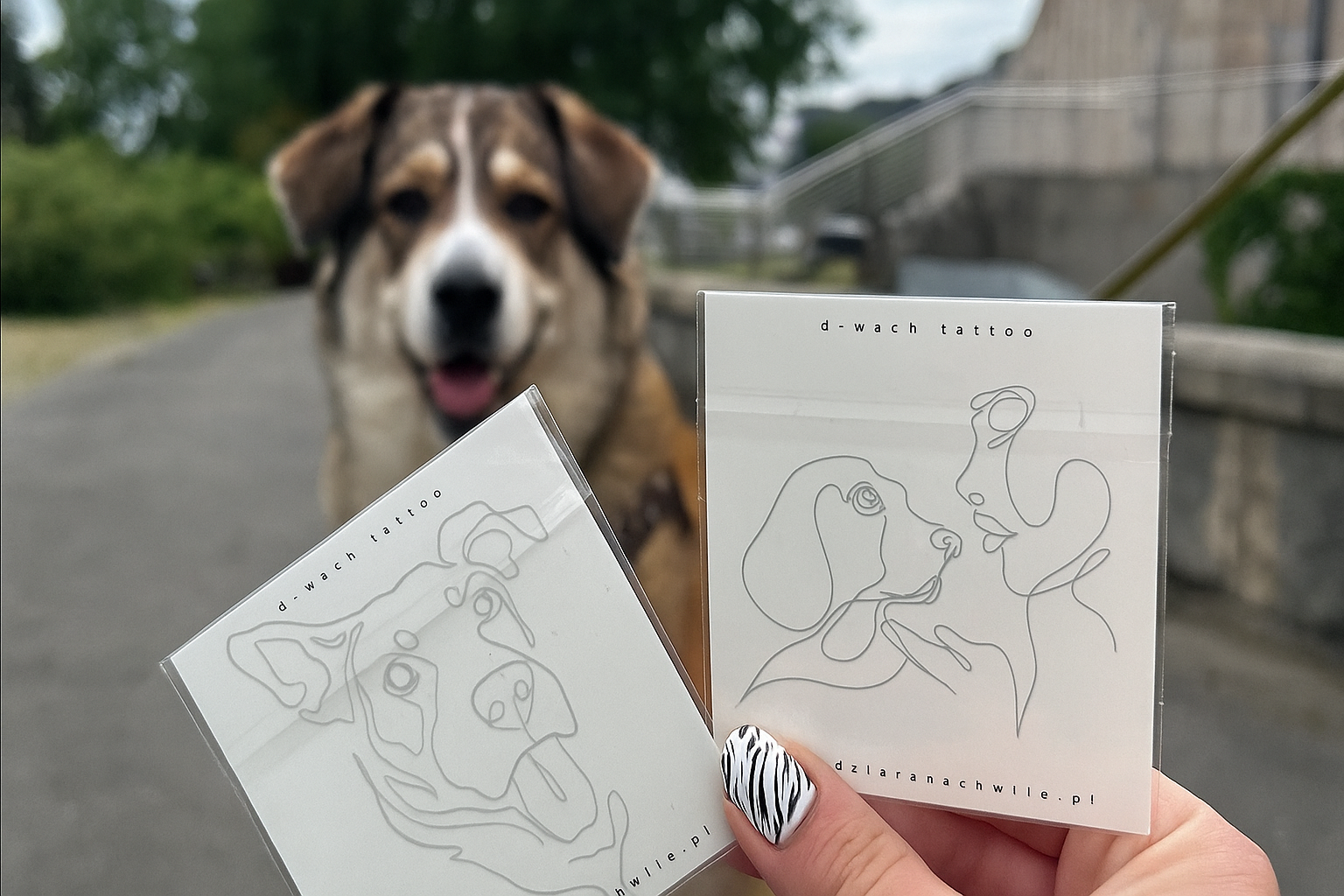 ekologiczne tatuaże tymczasowe tatuaże zmywalne bezpieczne dla skóry tusze wodne do tatuaży tymczasowych biodegradowalne opakowania do tatuaży certyfikacja FSC opakowań zgodność REACH i EN 71-3