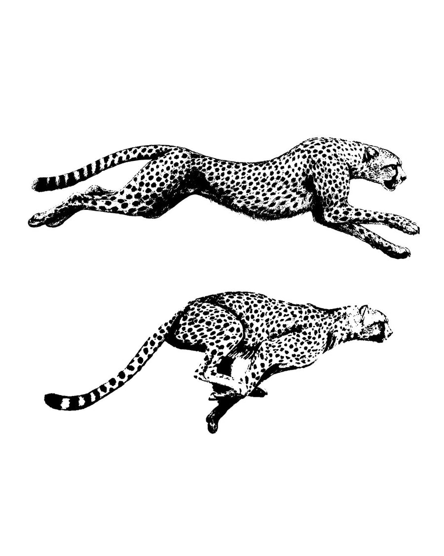 Galopujący gepard - Tatuaż tymczasowy Jagua 8x8