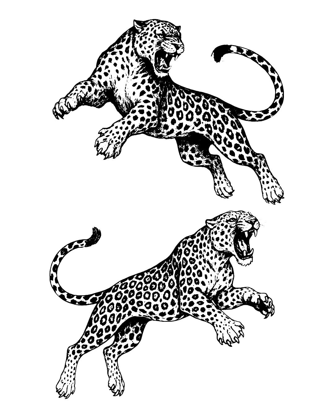 Naskocz mi kotku - Tatuaż tymczasowy Jagua 12x8
