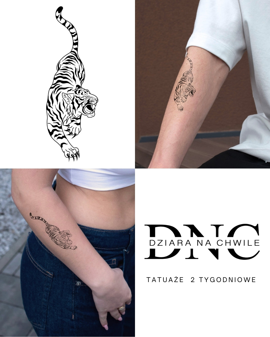 Tiger king - Temporary tattoo Jagua 12x8