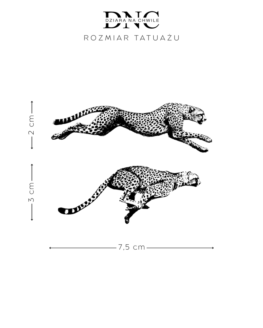 Galopujący gepard - Tatuaż tymczasowy Jagua 8x8