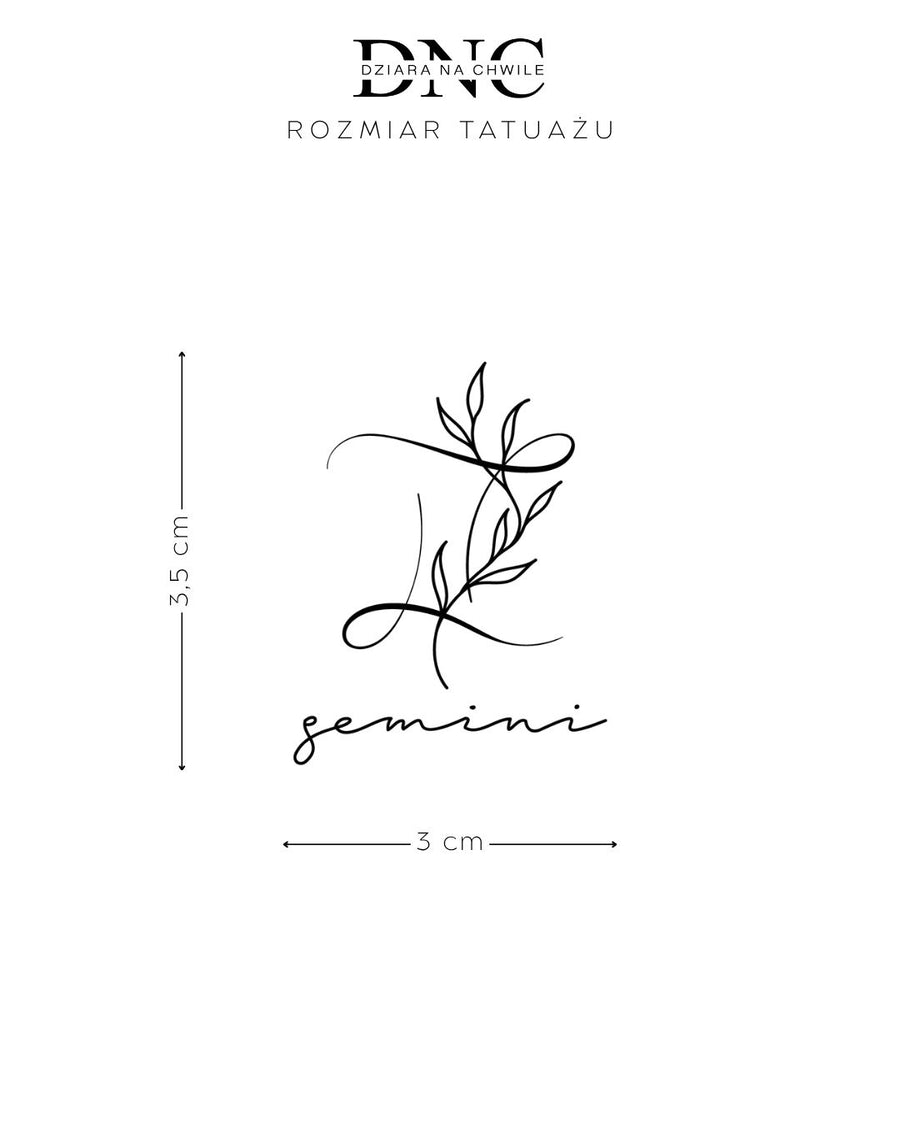 Zodiakalne Bliźnięta - Tatuaż tymczasowy Jagua 5x5