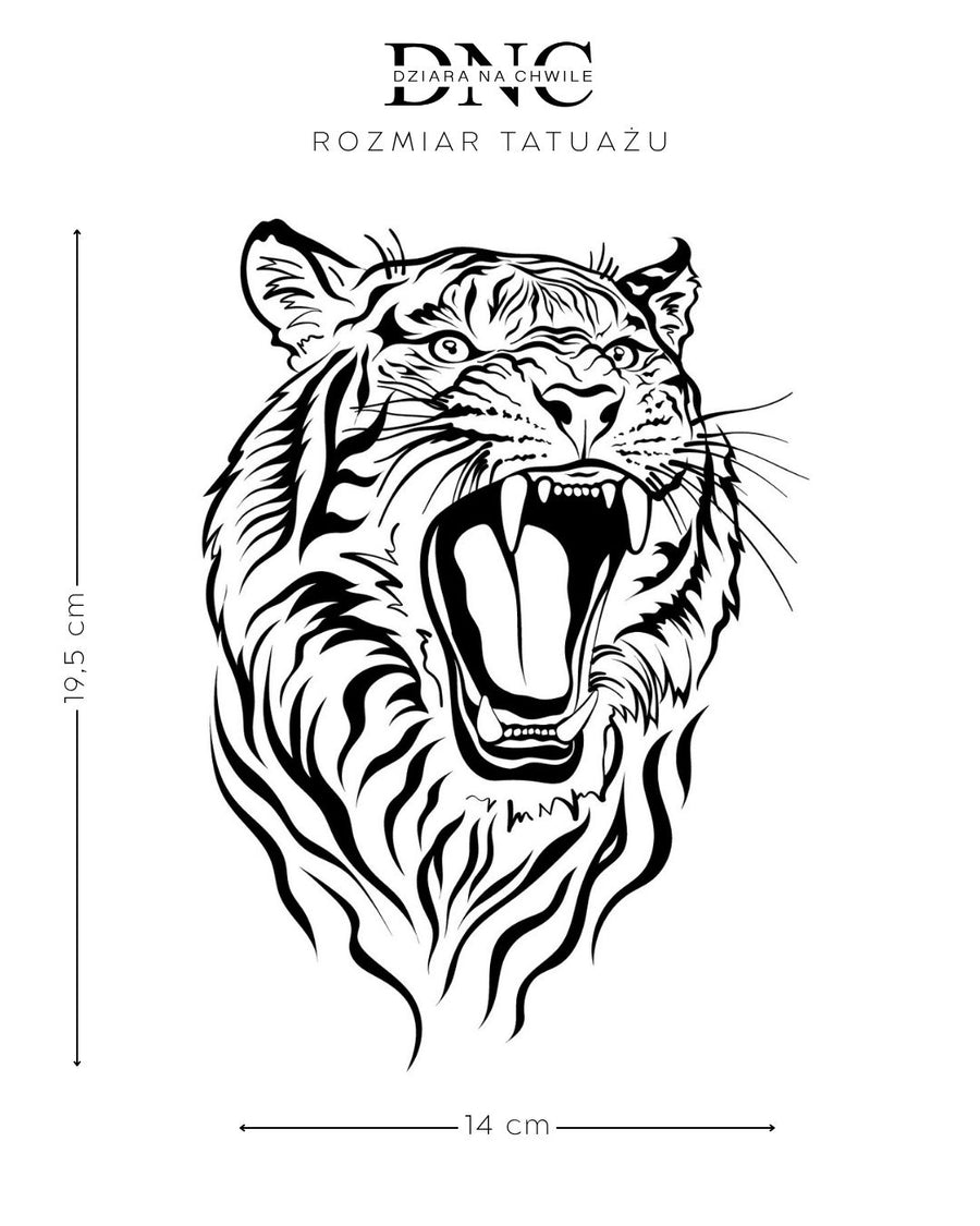 Tygrrrrrys - тимчасове тату Jagua 25x15
