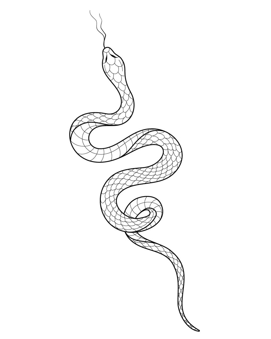 Ах ти гадюка - тимчасове тату Jagua 25x15