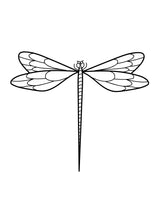 Ważna ważka - Tatuaż tymczasowy Jagua 5x5